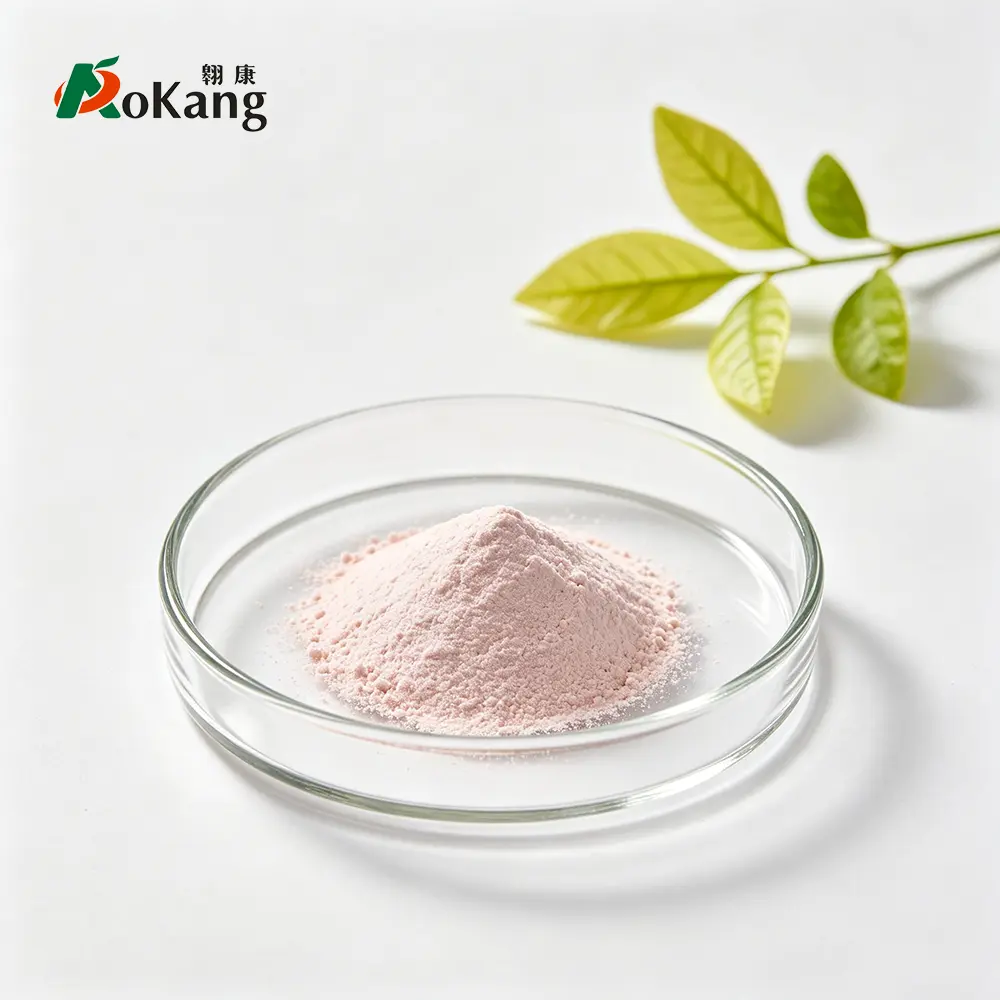 Lithocarpus litseifolius Extract